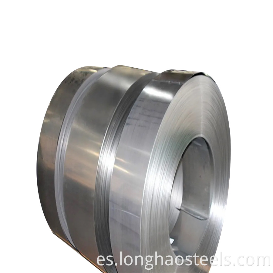 Stainless Steel Strip